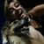 Cris Fitzy's profile image