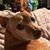 Wendy Vilgos's profile image
