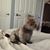 Debbie Baez's profile image