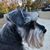 Bobbi Brooks's profile image