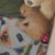 Rob Kirkpatrick's profile image