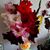 Peg Nowak's profile image