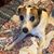 Jayne Luckey Dorantes's profile image