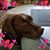 William Patterson's profile image