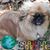Connie Fortner's profile image