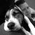 Stephanie Schardt's profile image