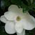 Karen Thompson's profile image