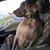 Elizabeth Smith's profile image