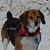 Steven A. Wiley's profile image