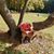 Christine Sutherland's profile image