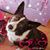 Susan Tiss's profile image