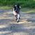 Cassie Leffler Batt's profile image