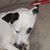 Clarke R. Joy's profile image