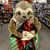 Toni Marie Anne's profile image