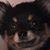 Michelle McGarry's profile image