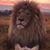 Richard Shipper's profile image