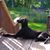 JoAnn Ida Tonn's profile image