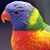 Janet Marie Ownby's profile image