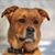 Kristy Roberts Jordan's profile image