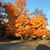 Deborah Butz Walker's profile image