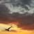 Janet Grether's profile image