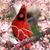 Kathy Murray Gillen's profile image