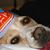 Lee Anne Irby Willis's profile image