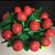 Nancy J Tuttle's profile image