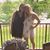 Megan Langenkamp's profile image