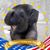 Beckie Foy's profile image