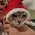 Robert Heaps's profile image
