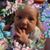 Valerie Haynes's profile image