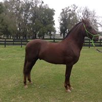 Jennifer Bowden's profile image