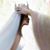 Olga Fernandez's profile image