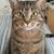 Karen McIver's profile image