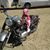 Lisa Shear-Srock's profile image