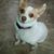 Jackie Smith's profile image