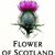 Marianne McIlwain's profile image