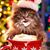 Emily Kavanagh's profile image