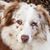 Shiela Dillman's profile image