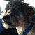 Brian Freer's profile image