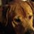 Barbra Hazlett's profile image