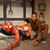 Amit Singh's profile image