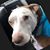 Alicia Plaisted's profile image
