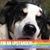 Shelley O'Connor-Sherman's profile image