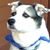 Dawn Dunlap's profile image