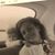 Kim Wollard Dougan's profile image