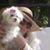 Jennifer Joseph's profile image