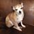 Lisa Conrad Mason's profile image