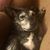 Liz Moss's profile image